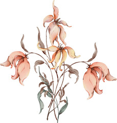 Bouquet of dry flowers