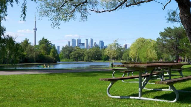 Wooden Bench in the Toronto Islands Park Centre Island. Toronto, Ontario, Canada.