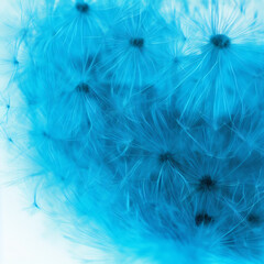 Abstract soft background - blue dandelion