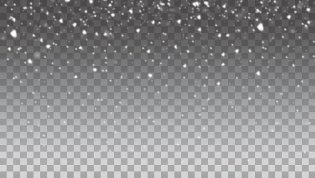 Snow. Vector transparent snow background. Realistic falling snowflakes isolated on transparent background. Heavy snowfall in different shapes and forms.