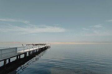 Fototapeta na wymiar pier in the sea