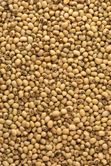 close-up view of cowpea, also called black-eyed pea or southern pea, most popular edible grain legumes in full frame,food background