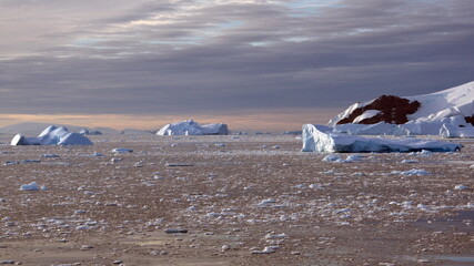 Icebergs floating in Cierva Cove, Antarctica, at sunset