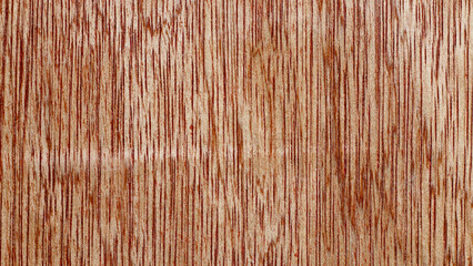 grunge wood plank Texture background for design