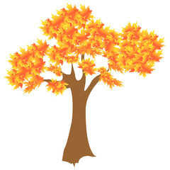 Naklejka na ściany i meble simple autumn tree vector illustration