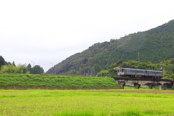 Japanese countryside train