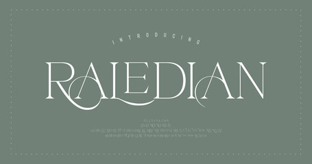 Elegant alphabet letters font. Classic Modern Serif Lettering Minimal Fashion Designs. Typography  decoration fonts for branding, wedding, logos. vector illustration