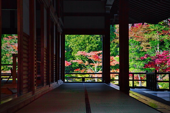 秋、日本のお寺の境内は紅葉で赤く染まります