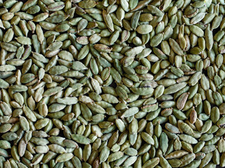 Dry organic Cardamom or Elakka top view background or texture. Healthy spices, nuts, seeds and herbal products. Close up full frame background