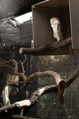 Living Desert Zoo Palm Desert California