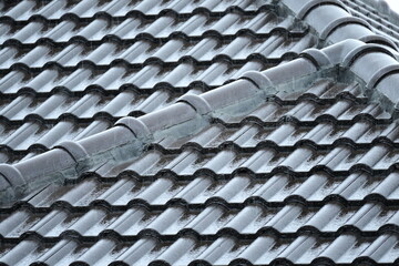 wet roof of house resident, construction industry