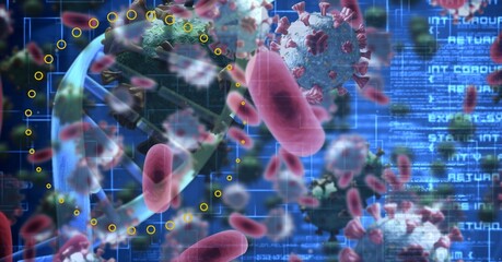 Red cells over DNA strain and data processing and coronavirus Covid19 pandemic 