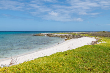 Tropical white beach in the caribbean sea (Cayo de Agua, Los Roques Archipelago, Venezuela).