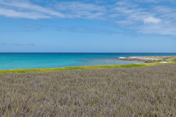 Tropical white beach in the caribbean sea (Cayo de Agua, Los Roques Archipelago, Venezuela).