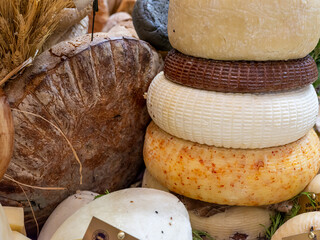 different cheeses on the counter, close up