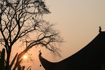 landscape at dusk