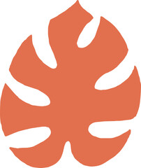 organic monstera leaf