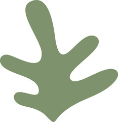 hand drawn abstract organic plant