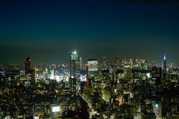 Obraz premium 東京の夜景