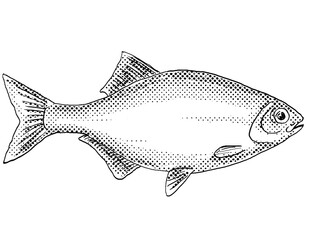 Cartoon style line drawing of a Hiodon tergisus or mooneye,  a freshwater fish endemic to North America with halftone dots shading on isolated background in black and white.