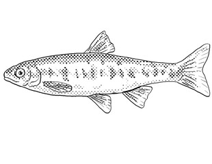 Cartoon style line drawing of a Little Colorado spinedace or Lepidomeda vittata a freshwater fish endemic to North America with halftone dots shading on isolated background in black and white.
