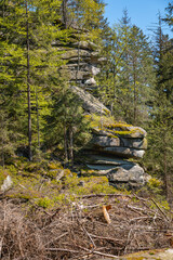 Hiking route in the fichtel mountains in bavaria