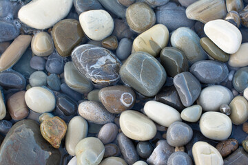 a lot of wet round pebbles. Background with round pebble stones. Stones beach smooth. Top view.