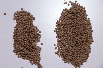 Horse gram or Macrotyloma uniflorum isolated on white background