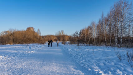 A path trodden through snowdrifts. Three people are leaving on the road. Back view. Bare trees against a clear blue sky. Copy Space. Altai