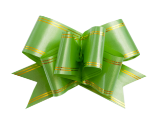 Green plastic satin bow isolated on white.