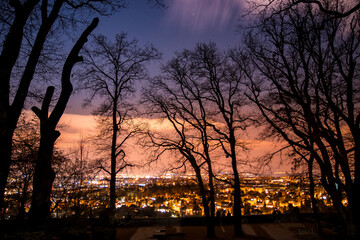 Naklejka premium sunset in the forest