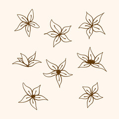 set of flowers, coffee plant flower