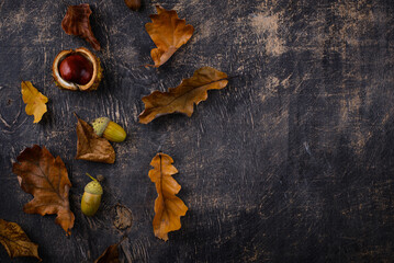 Autumn background with dry leaves.