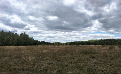cloudy sky over the field