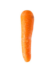 fresh carrots