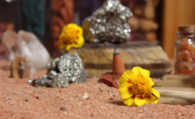 Yellow Flower With Pyrite Rocks and Crystals on Australian Red Sand
