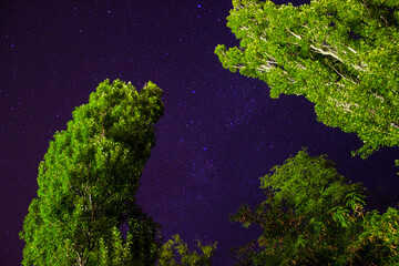green moss on the rocks