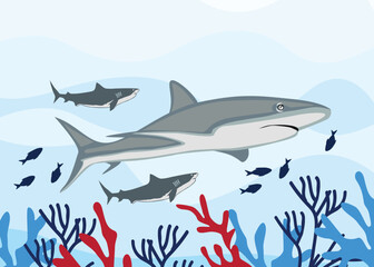 Shark underwater background - Vector
