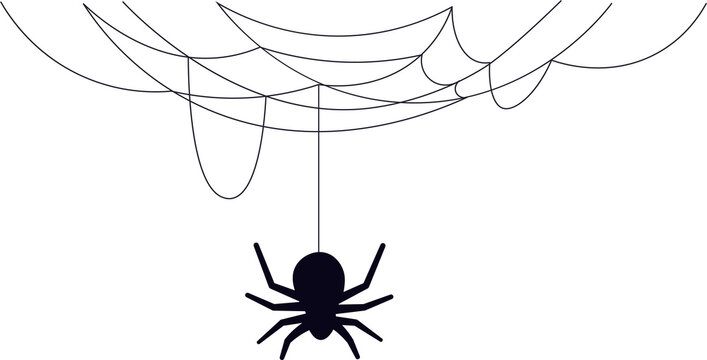 Spider on The Web Outline Icon 