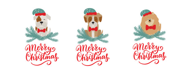 Christmas puppy dogs set pomeranian, bulldog, boxer. Merry Christmas for dog lover. Cute cartoon vector illustration. Holidays design element for greeting cards, stickers, t shirt, poster.