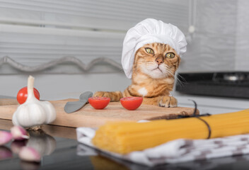 Cat in a chef's hat at the table with ingredients for making pasta with cherry tomatoes.