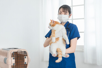 猫を抱く動物病院の女性の日本人獣医師
