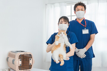 猫を抱く動物病院の男女の日本人獣医師
