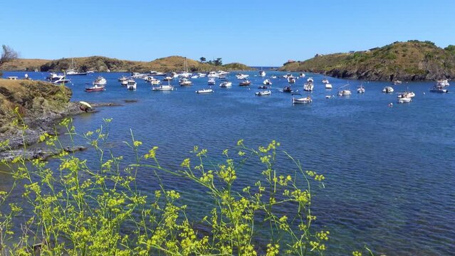 Cove with small boats docked and beautiful beach of Mediterranean landscape, Girona, Spain