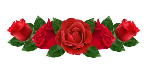 The red rose isolated on background, perfect for element use a wedding card. valentine's day gift card, illustration.