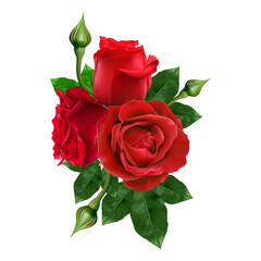Naklejka premium The red rose isolated on background, perfect for element use a wedding card. valentine's day gift card, illustration.