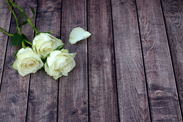 Weiße Rosen auf Holzhintergrund.