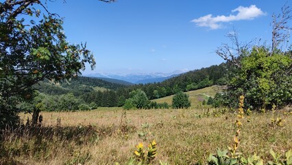 paysage
