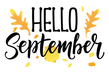 Hello September calligraphy. Hello Autumn greeting card. Hand-drawn illustration. Modern vector calligraphy phrase. Positive quote for your design.