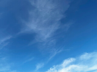 Fototapeta premium 青空